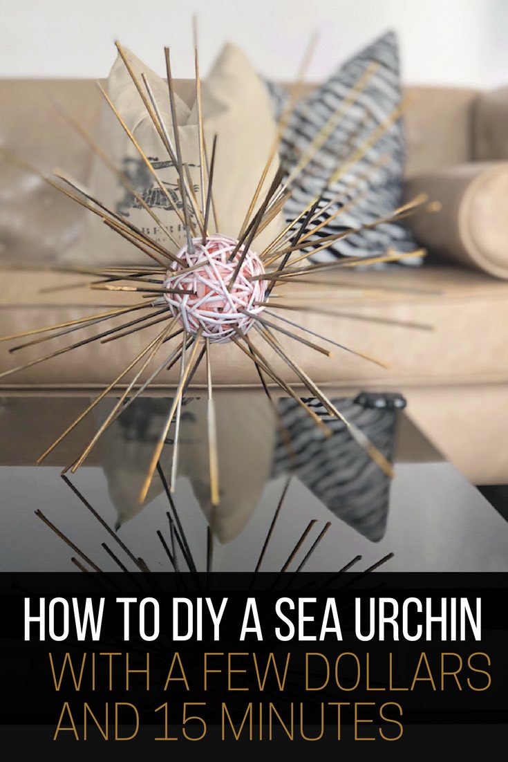 How to make a sea urchin, DIY sea urchin on coffee table_Pin